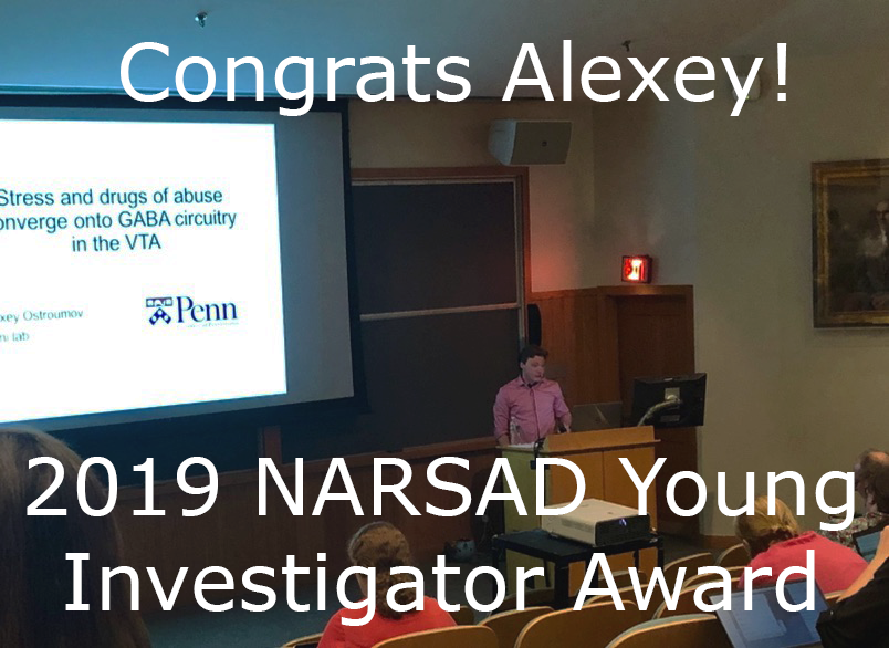 Alexey Ostroumov wins a 2019 NARSAD young investigator award